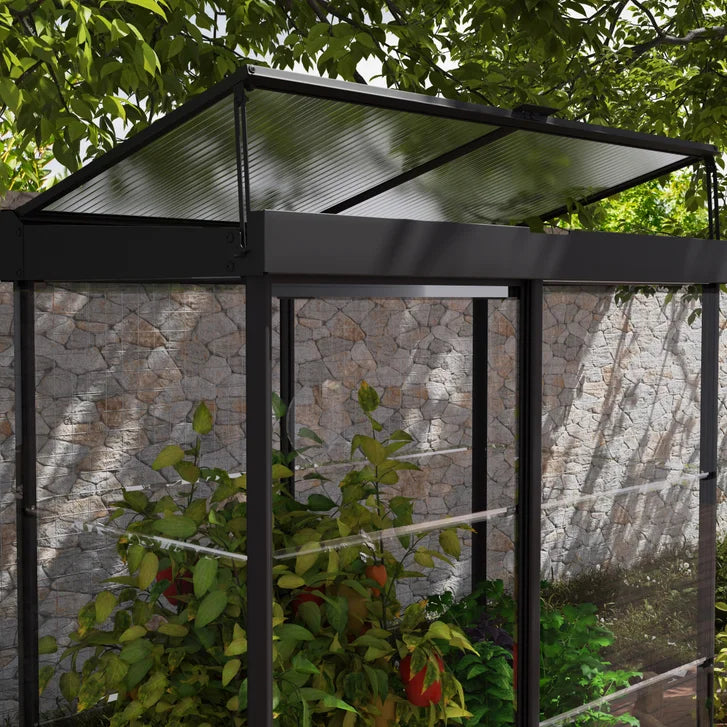 Canopia by Palram Ivy 4 ft. x 2 ft. Mini Greenhouse Kit
