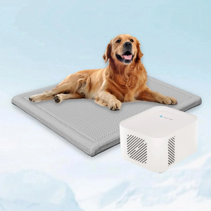 Pet Bed Cooling System, Consistent Warm and Cold Water Pad, No Electric Shock or Chemical Gel Needed, Machine Washable Bed, Ideal for Home and Crates (Cooling & Heating Green, 41" x 28") L5