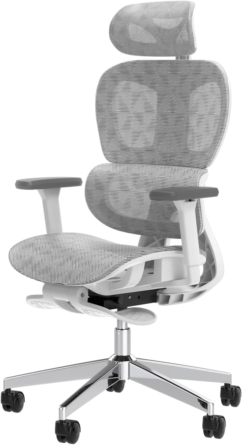 Ergo3D Ergonomic Office Chair -- High Back Mesh Desk Chair with 3D Adjustable Armrests, Wheels, for Home and Office (Black) Q1
