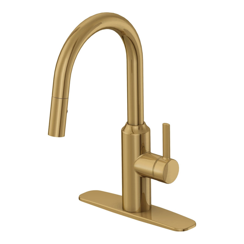 Danze Colby Single-Handle Pull-Down Kitchen Faucet, Brushed Bronze V8