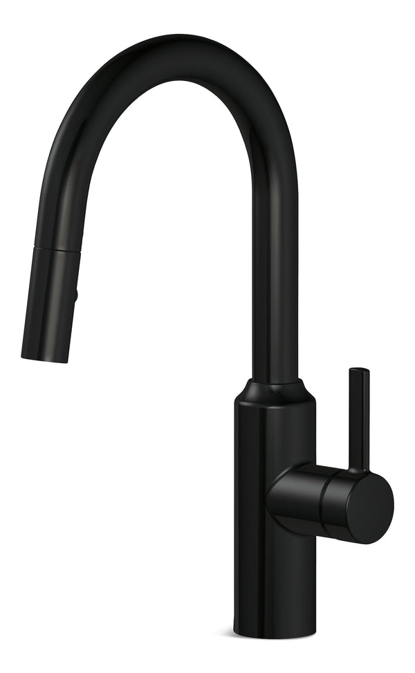 Danze Colby Single Handle Pull Down Kitchen Faucet, Matte Black F9