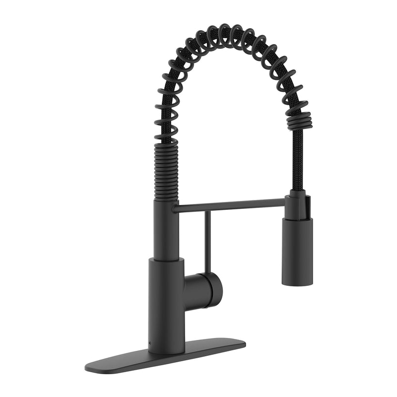 Danze Imi 1-Handle Pull-Down Commercial Style Kitchen Faucet Z1