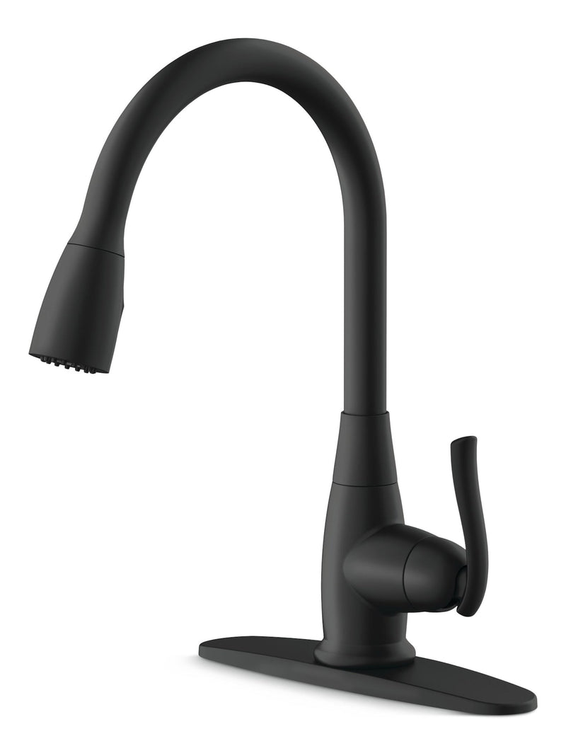 Danze Terrazo 1-Handle Pull Down Kitchen Faucet, Matte Black J7