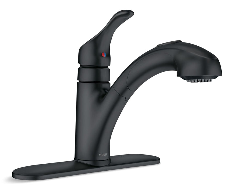 Moen Renzo Single-Handle Pull-Out Kitchen Faucet, Matte Black Y7