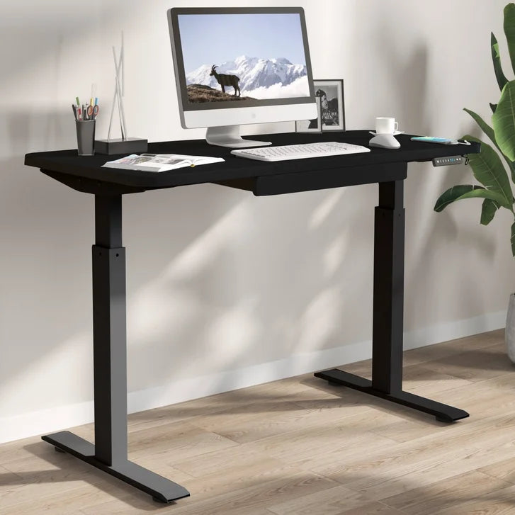 Motionwise 121.9 cm x 61 cm (48 in. x 24 in.) Height Adjustable Desk I6