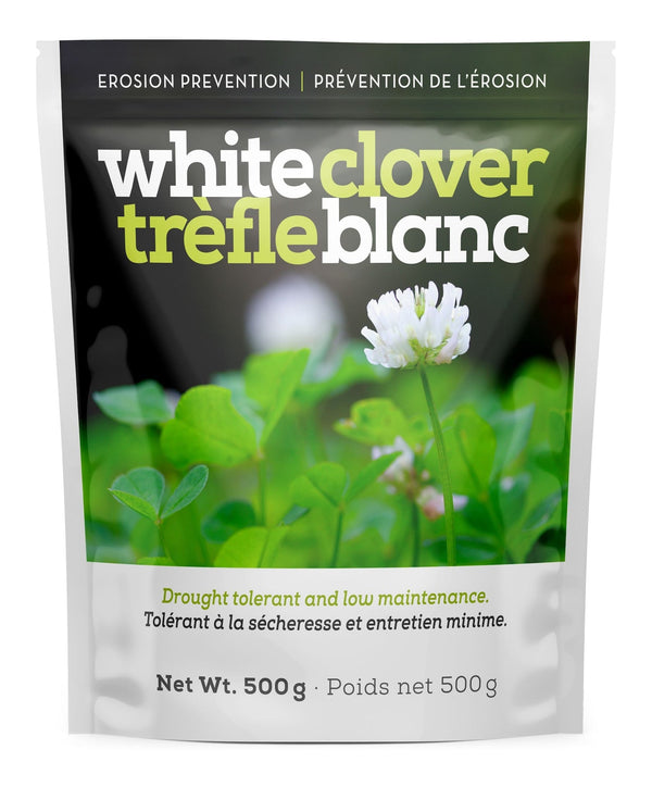 White Clover Erosion Control Grass Seed 500g I3